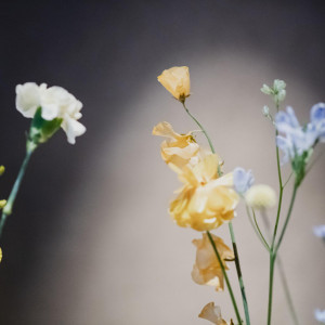 《24時間お問い合わせ受付中》＊フェアは1月5日から＊