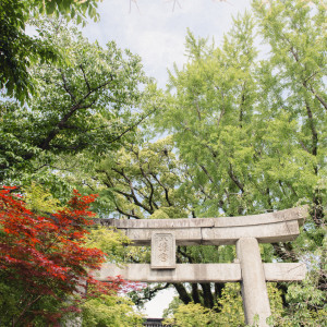 【神社挙式検討中のカップル向け】神社挙式のスケジュールも作れるフェア
