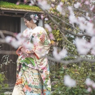 新婦和装（白無垢・色打掛・本振袖等）特別割引♪