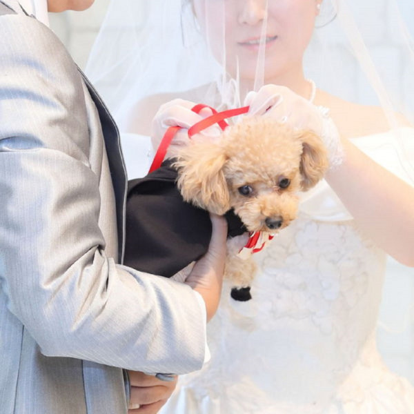 愛犬と一緒に結婚式