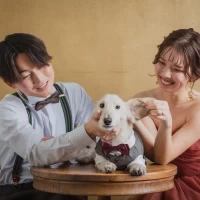 Apartment2c wedding