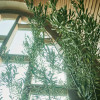 Hilltop Resort YAMANOUE (ヒルトップリゾート ヤマノウエ)