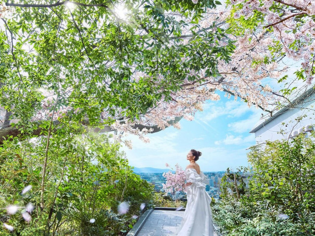 《人気会場で賢く選ぶウエディング》早めの検討で特典をフル活用