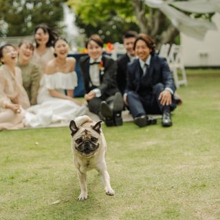 ペットと一緒の結婚式！
