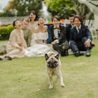 【パパママキッズ婚・ペット婚OK】安心相談フェア