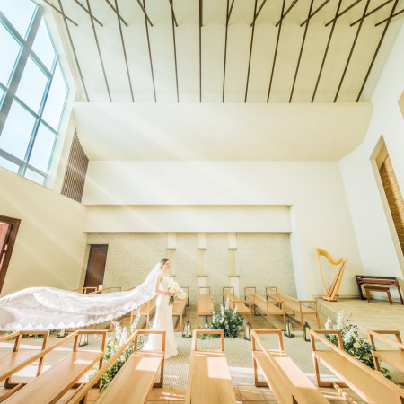 カペラベネフィカ