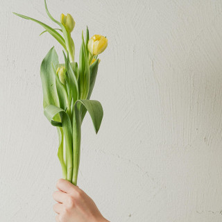 【オンライン♪見学&相談会】最短30分~スマホでOK!