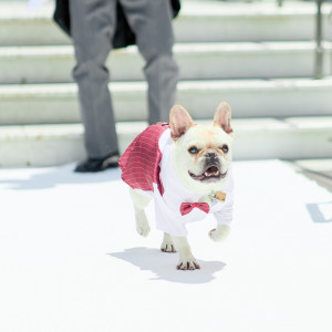 セレモニーの大切な鍵を首から下げておふたりの元へ駆ける姿がかわいい☆|Casita(カシータ)の写真(44873170)