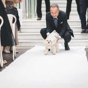 おふたりにとって愛犬は大切な家族。セレモニードッグとして参加可能です|Casita(カシータ)の写真(44883512)