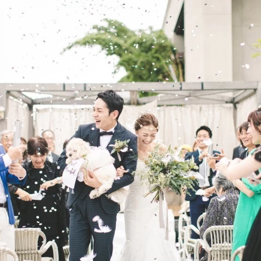 Casita(カシータ)