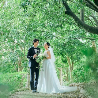 【2026年4月までの挙式】賢くお得に叶える期間限定プラン登場