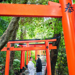 二葉姫稲荷神社の鳥居を背景にロケーション撮影|上賀茂神社の写真(33376316)