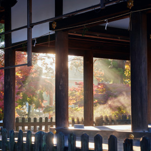 紅葉の上賀茂神社は美しい|上賀茂神社の写真(33415400)