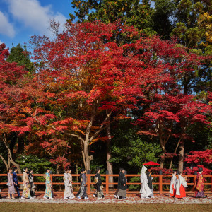 参進の儀 神職・巫女の先導により参進|上賀茂神社の写真(33376387)