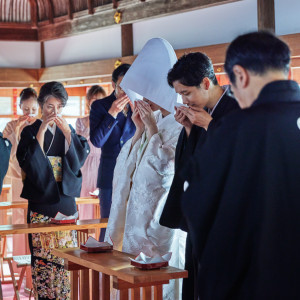 親族結杯の儀 全員でご神酒の杯を交わし親族の契りを結びます|上賀茂神社の写真(33376283)