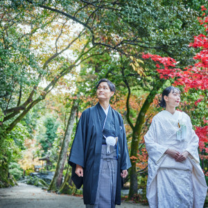 上賀茂神社婚礼相談ツアー【自然あふれる境内や非公開の御殿をご案内】