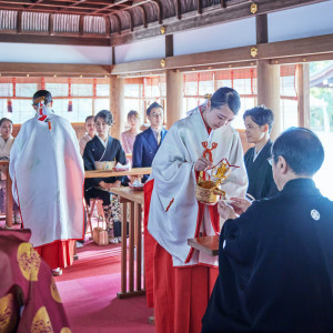 親族結杯の儀 全員でご神酒の杯を交わし親族の契りを結びます|上賀茂神社の写真(33376273)