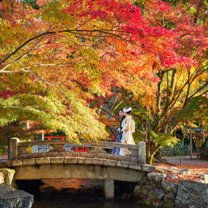 美しき紅葉のワンシーン|上賀茂神社の写真(33398762)