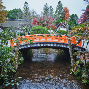 玉橋|上賀茂神社の写真(33376312)