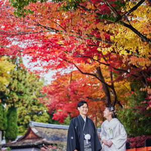 紅葉の上賀茂神社は美しい|上賀茂神社の写真(33376302)