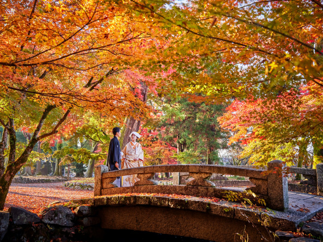 自然あふれる境内をご案内いたします