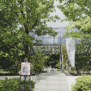 sasaの写真(53264471)