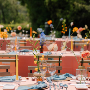 sasaの写真(53264473)