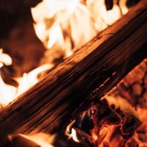 薪火でじっくりと焼き上げた料理の数々に非日常の体験をお過ごしください|sasaの写真(36112175)