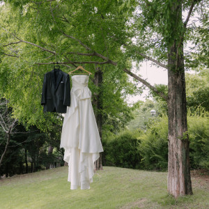 sasaの写真(53264466)