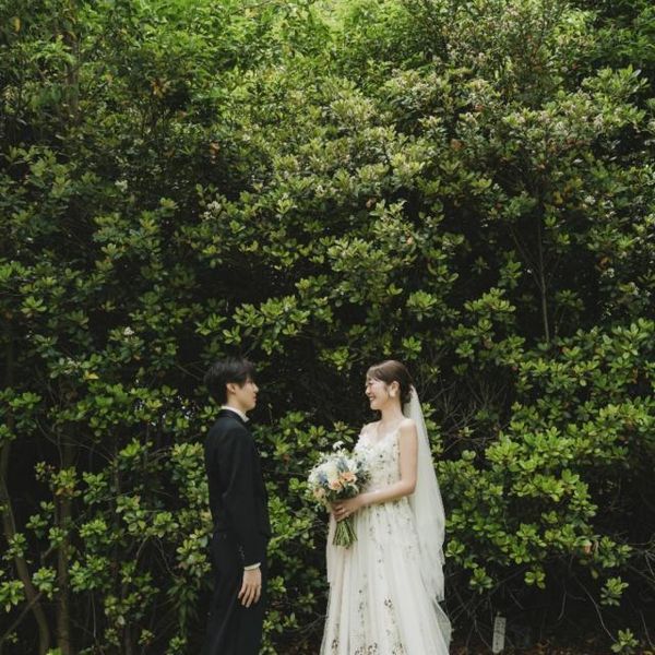 冷え込む季節も緑に包まれるsasa