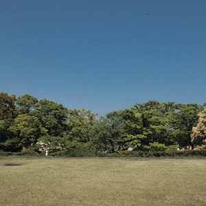 広々緑に囲まれた三重県立美術館でのガーデンウェディング coming soon!!|pecorino wedding（ペコリーノウェディング）の写真(54802531)