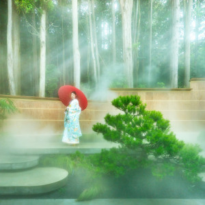 四季折々表情の変わる庭園はどの季節も日本の美しさを感じることができ|青龍荘の写真(46247671)