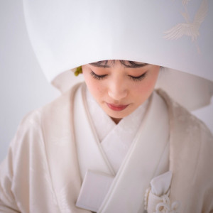 .|TERASU TAMAHIME（テラスタマヒメ）の写真(48879949)