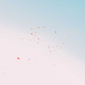 .|THE HARBOR TERRACE(ザ ハーバー テラス)の写真(54465231)