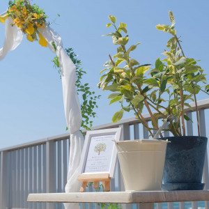 THE HARBOR TERRACE（ザ ハーバー テラス）の写真(55839852)