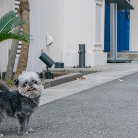 THE HARBOR TERRACE（ザ ハーバー テラス）