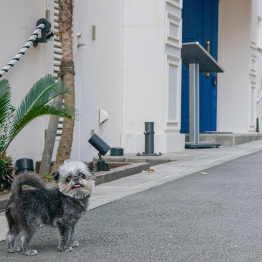 THE HARBOR TERRACE（ザ ハーバー テラス）