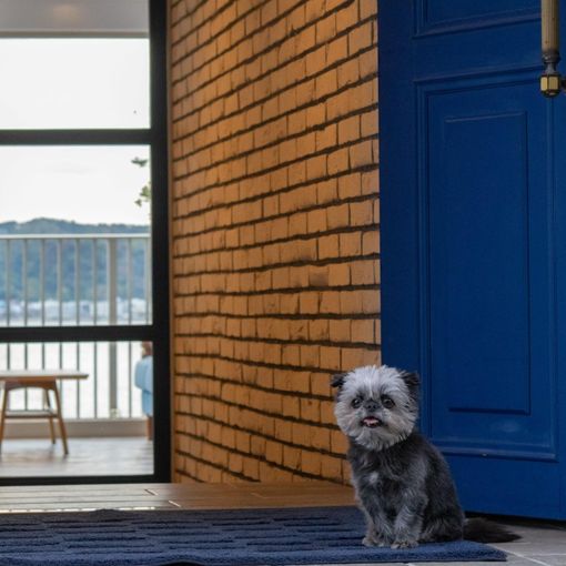 THE HARBOR TERRACE（ザ ハーバー テラス）の結婚式の公式写真（2枚目）
