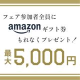 【夏BIGフェス】全員もらえる!Amazonギフト最大5,000円プレゼント!