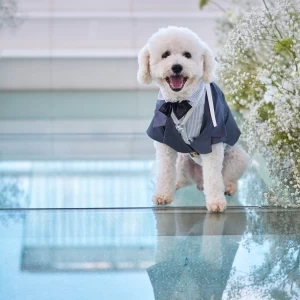 ＜ペット婚＞話題の愛犬とのペット婚＆フォトが叶う|ラソール シー リゾート シエール教会　チュチュリゾートウエディングの写真(46311970)