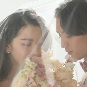 オリジナルドレスショップ「PRIMACARA」新作ドレス|GRADATIONS（グラデーションズ）の写真(50451519)