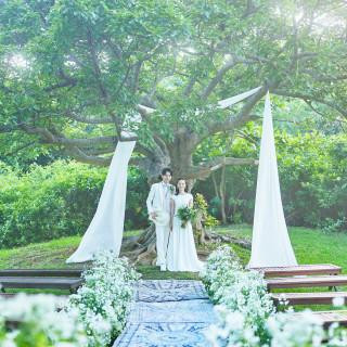 【12月申込限定】＼早割キャンペーン／基本挙式料金最大80％OFF！