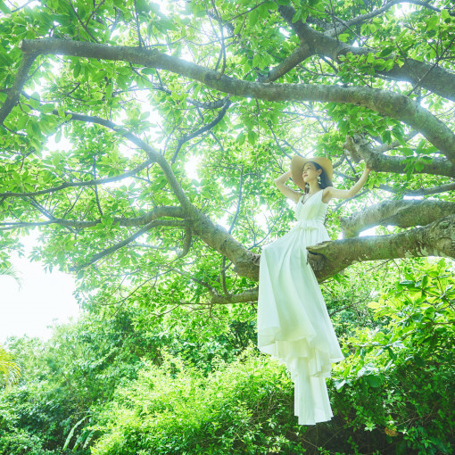 ザ・ビーチテラス ホテルアオ石垣