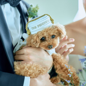 愛犬も結婚式に参加ができるほか、
「ドッグステイプログラム」を利用して一緒に宿泊することも可能。|ザ・ペニンシュラ東京の写真(43578166)