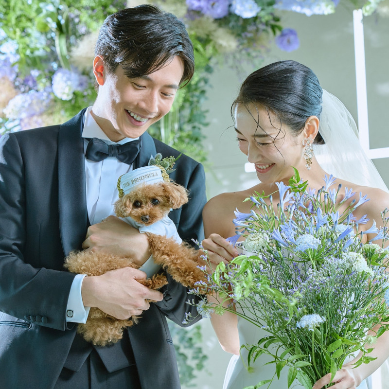 オファー 結婚式 東京 ペット