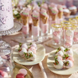 【ビュッフェ体験付!】90分で手軽に♪情報収集フェア