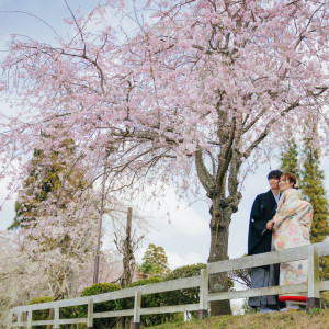 ◆garden◆ホテル館内には豊かな自然がいっぱい。シーズンならではのフォト撮影を楽しもう♪|ホテル日航成田の写真(53561628)