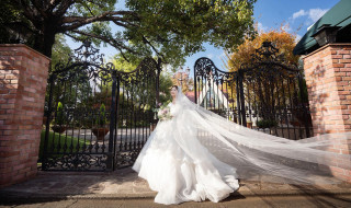 24年9月リニューアルオープン|ブライダルフォートの写真(56362163)