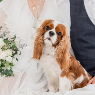 大切なペットと一緒に《 貸切×ガーデン邸宅 》ペット婚を満喫