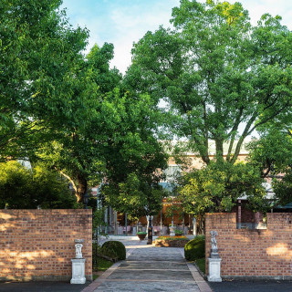 豊かな緑と柔らかい光に包まれる敷地